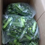 04-05-2023_1683173407_C3YHFRUV12J3XBNJ4TL