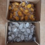 06-06-2022_1654511599_20220606093234