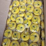 10-09-2024_1725939887_0JD5HSA57P1VXL00HNI9