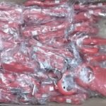 20-04-2023_1681955835_20230419192122